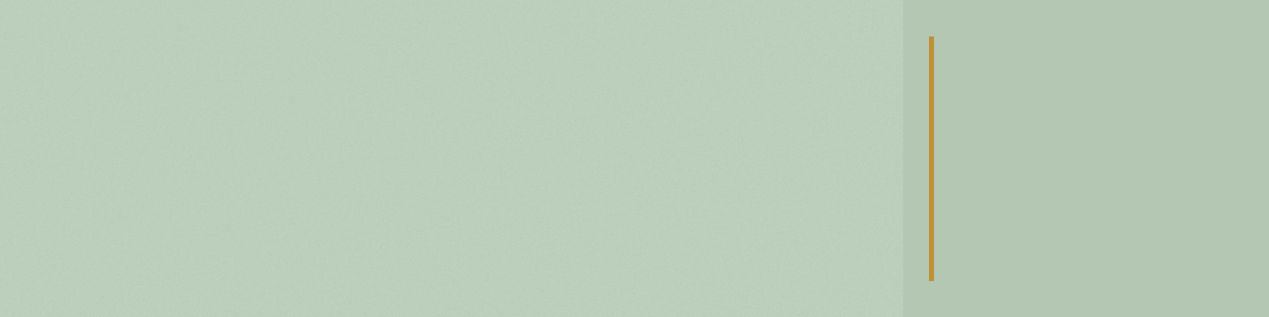 Pale Sage Calm cool LinkedIn banner