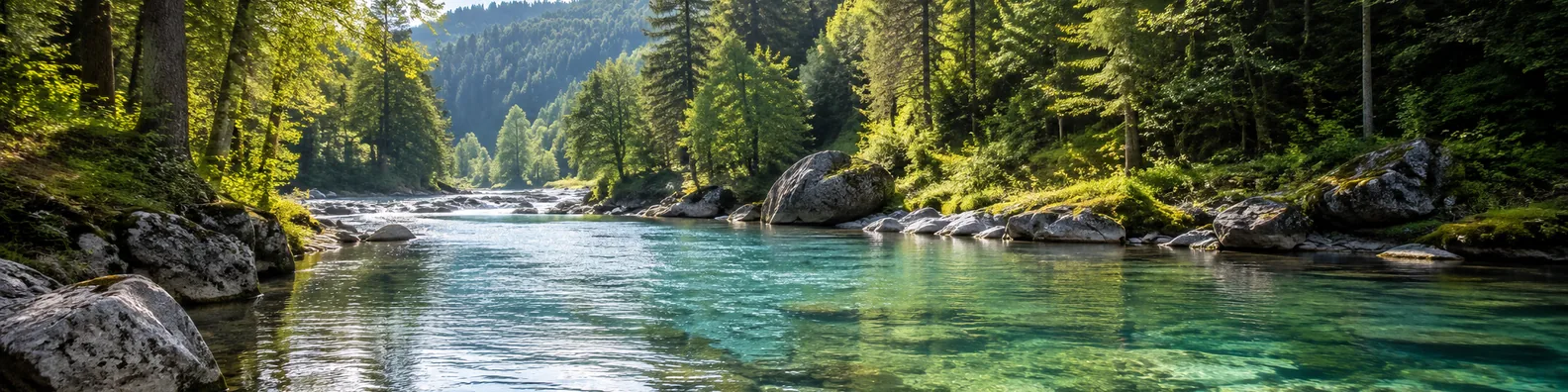 Clear river through forest LinkedIn background banner with transparent blue water, green trees, natural rocks, and daylight reflections