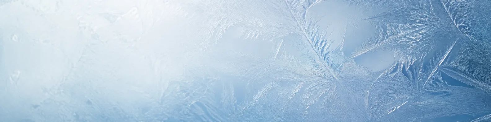 Cool blue white frosted glass pattern with delicate ice crystal formations LinkedIn background banner
