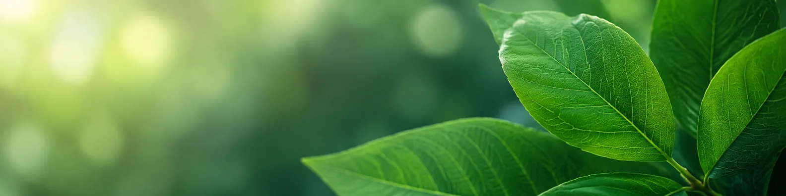 Detailed green leaf texture LinkedIn background banner