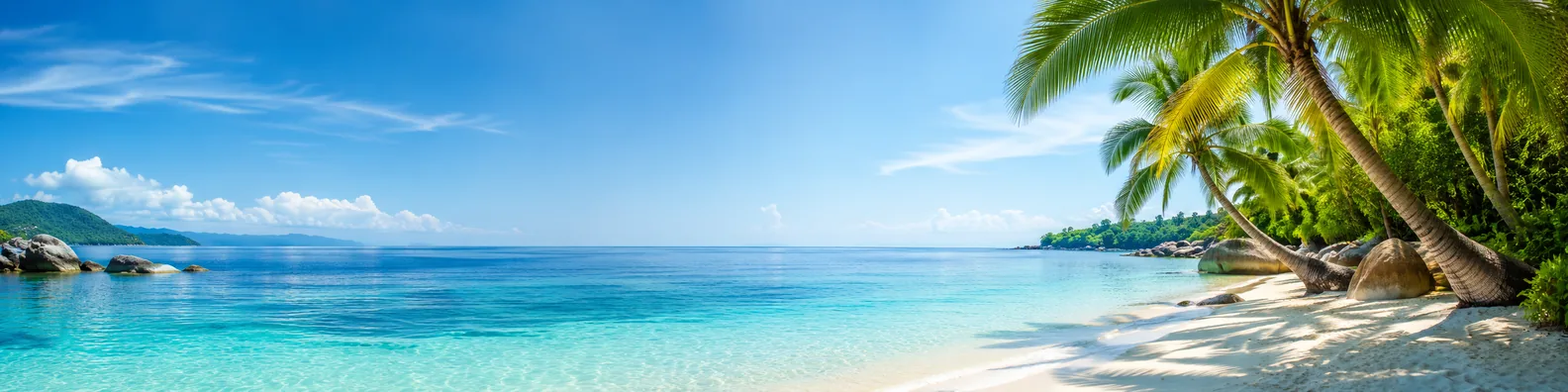 Exotic beach palm LinkedIn background banner with blue ocean and tropical trees