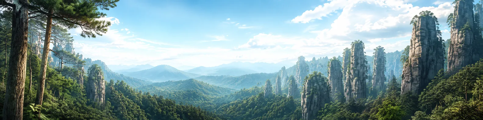Forest trees amid tall stone pillars LinkedIn background banner