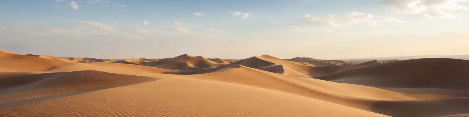 Golden desert dunes LinkedIn background banner with rolling sand dunes, soft sunlight, gentle shadows, and pale blue sky
