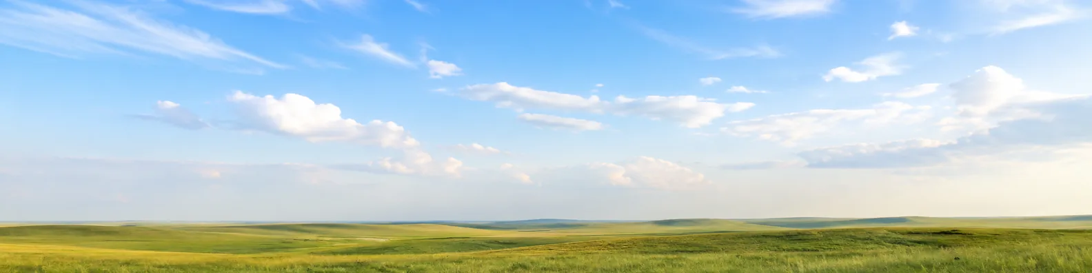 Grassland under blue sky LinkedIn background banner with wide open green plains, soft clouds, sunlight, and clean horizon