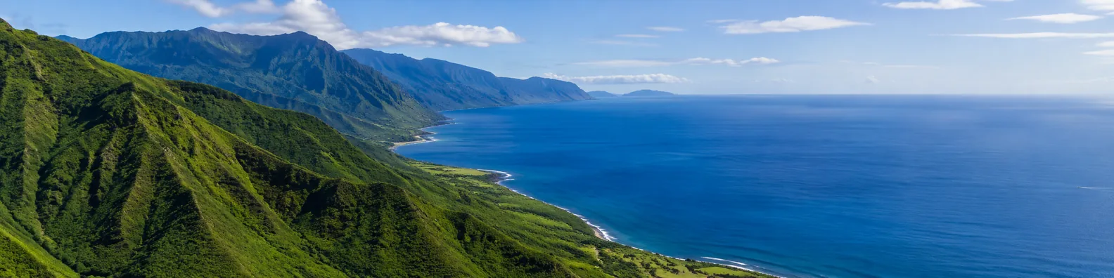 Green mountain ridges meeting deep blue ocean in a wide aerial coastal scene LinkedIn background banner