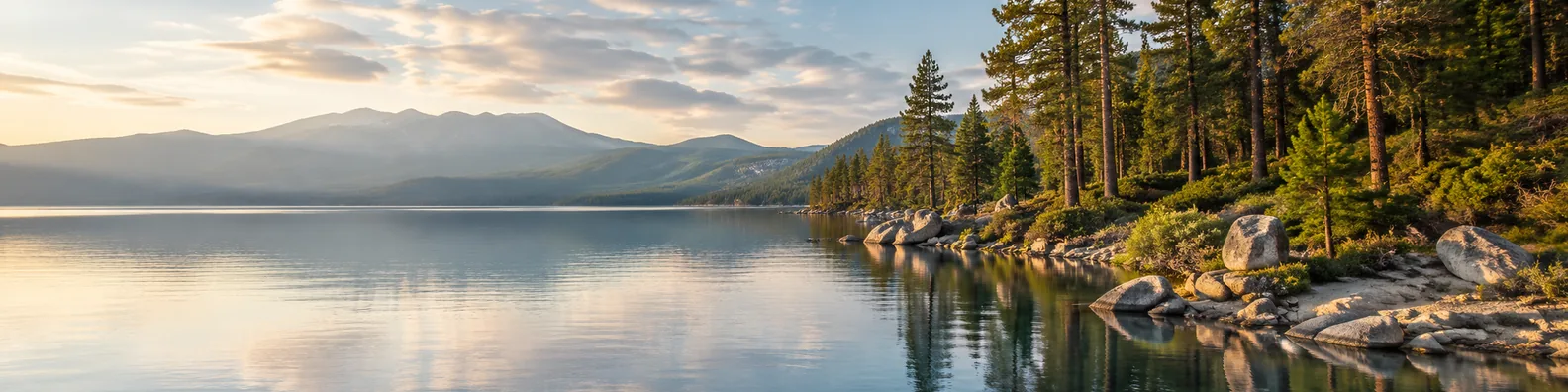 Lake shore pine trees LinkedIn background banner with calm water, pine shoreline, soft reflections, rocks, and distant hills