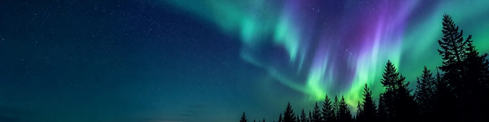 Northern lights forest sky LinkedIn background banner with aurora ribbons, starry night, and dark pine tree silhouettes