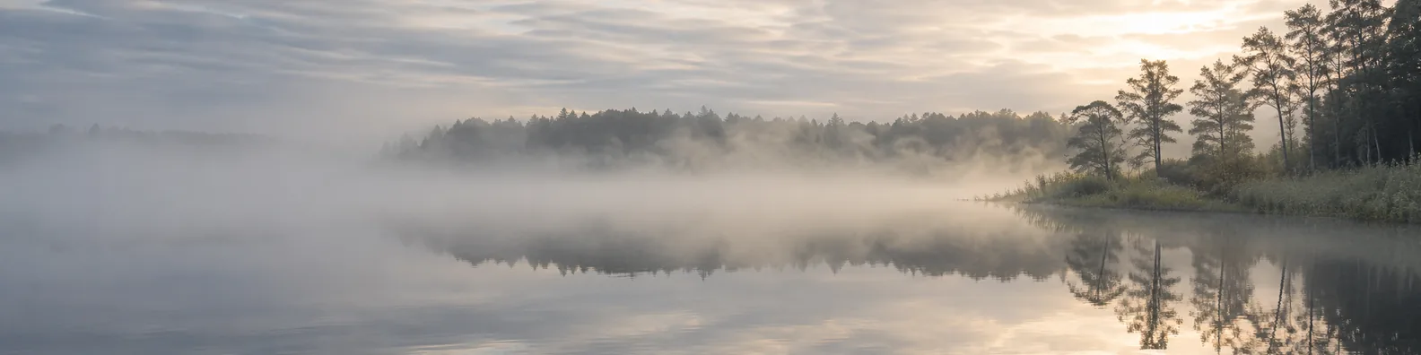 Peaceful foggy lake LinkedIn background banner with still water, soft fog, distant tree line, muted sky, and calm reflections