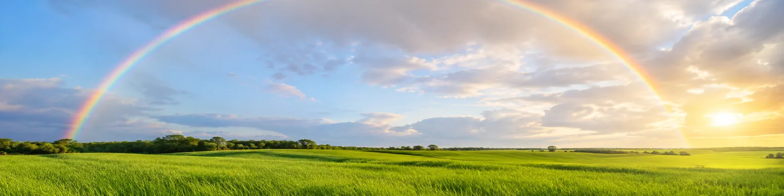 Rainbow over green field LinkedIn background banner with fresh grass, soft clouds, sunlight, and natural rainbow across sky