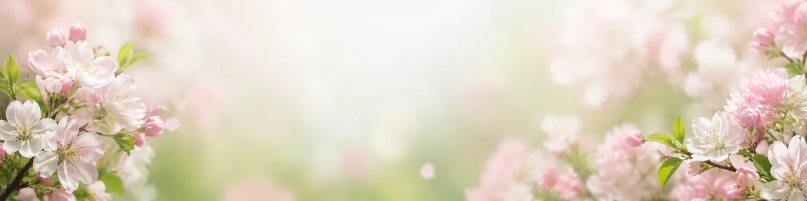 Soft spring blossoms LinkedIn background banner