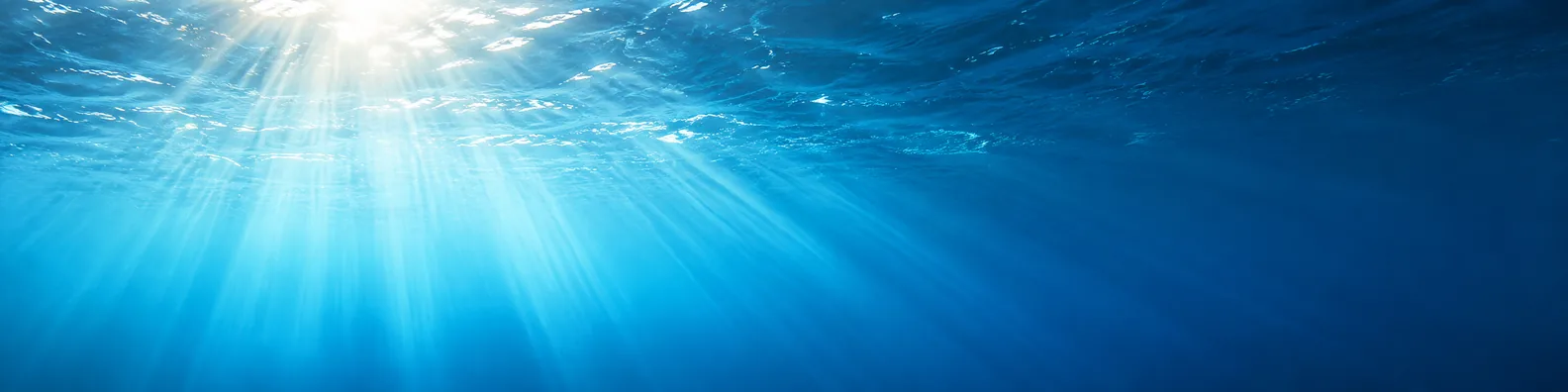 Sunlit deep ocean rays underwater LinkedIn background banner