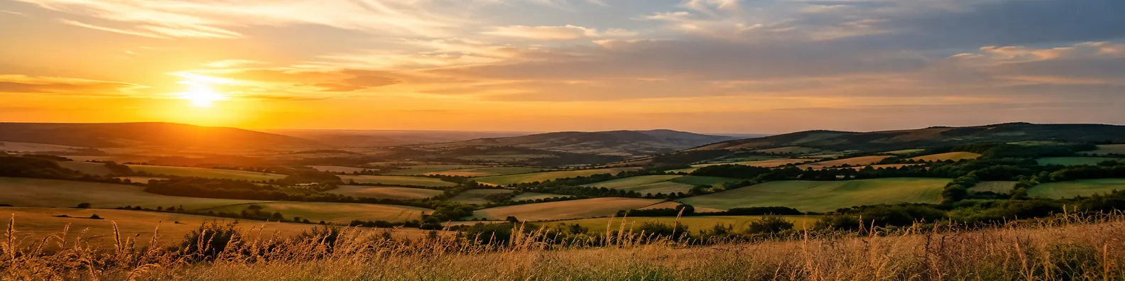 Sunset over rolling fields LinkedIn background banner with countryside hills, golden sky, warm grass, and peaceful landscape
