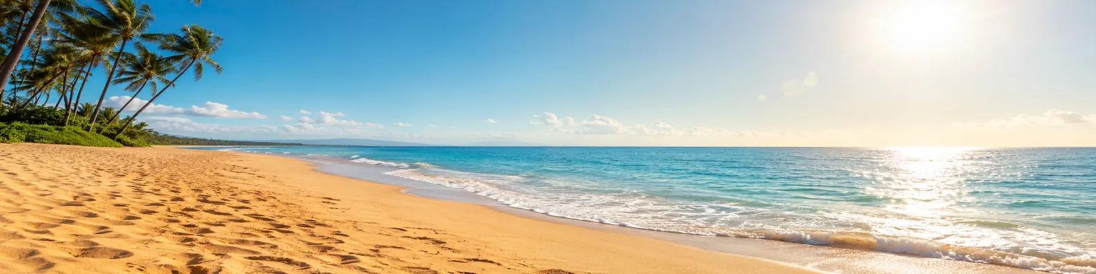 Bright tropical beach with palm trees golden sand and clear blue ocean LinkedIn background banner