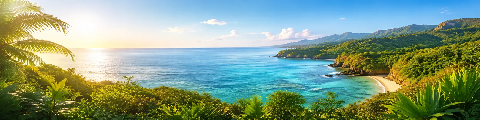 Tropical sunlit coastline LinkedIn background banner with blue water and green landscape