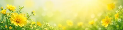 Cheerful yellow floral LinkedIn background banner with soft sunlight