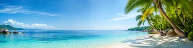 Exotic beach palm LinkedIn background banner with blue ocean and tropical trees