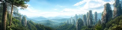 Forest trees amid tall stone pillars LinkedIn background banner