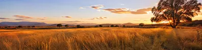 Golden meadow at dusk with warm grass, distant hills, and soft evening light LinkedIn background banner