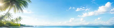 Palm trees tropical coast LinkedIn background banner