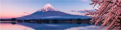 Serene Mount Fuji panorama LinkedIn background banner with lake reflection and cherry blossoms