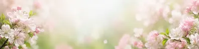 Soft spring blossoms LinkedIn background banner