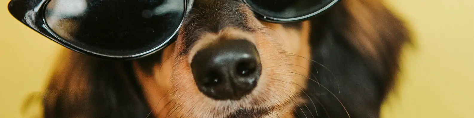 Blocking Out the Haters