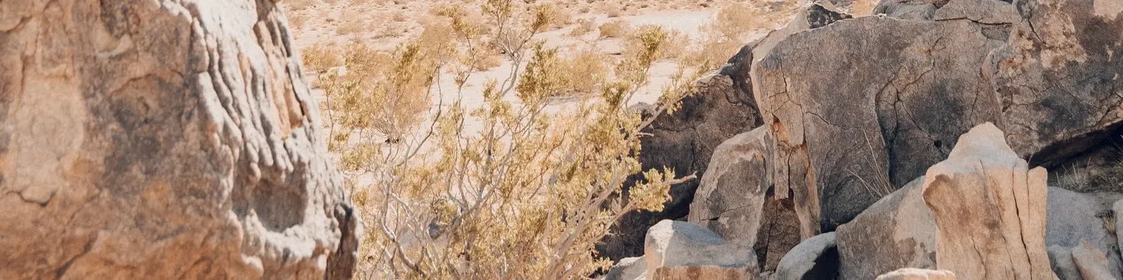 Caution Sign Background