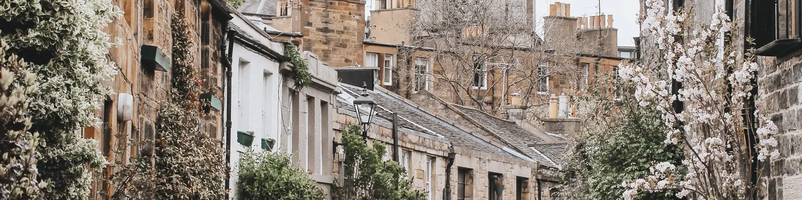 Classic Architectural Beauty Background