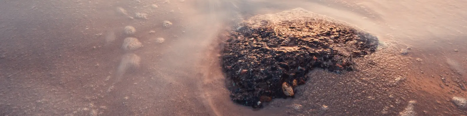 Coastal Shell Gatherings