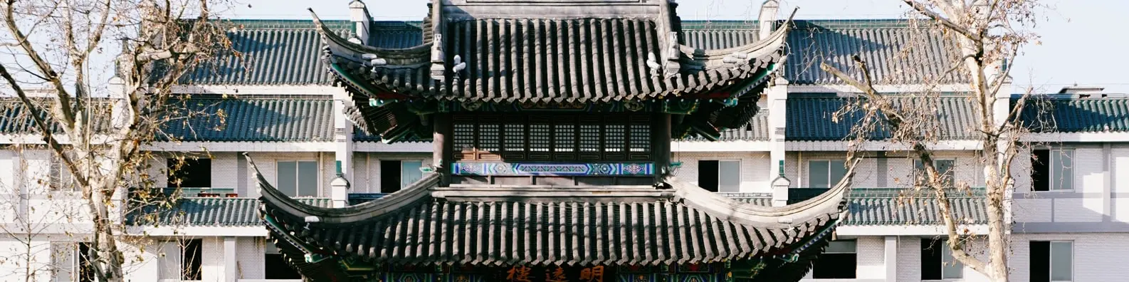 Cultural Shrine Doorway Banner