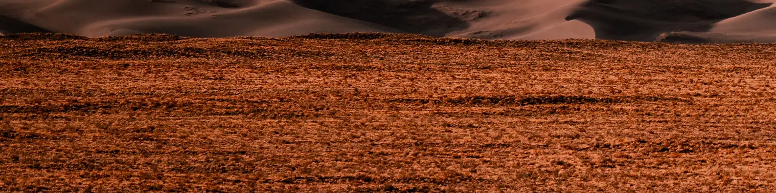 Dry Soil Landscape Background