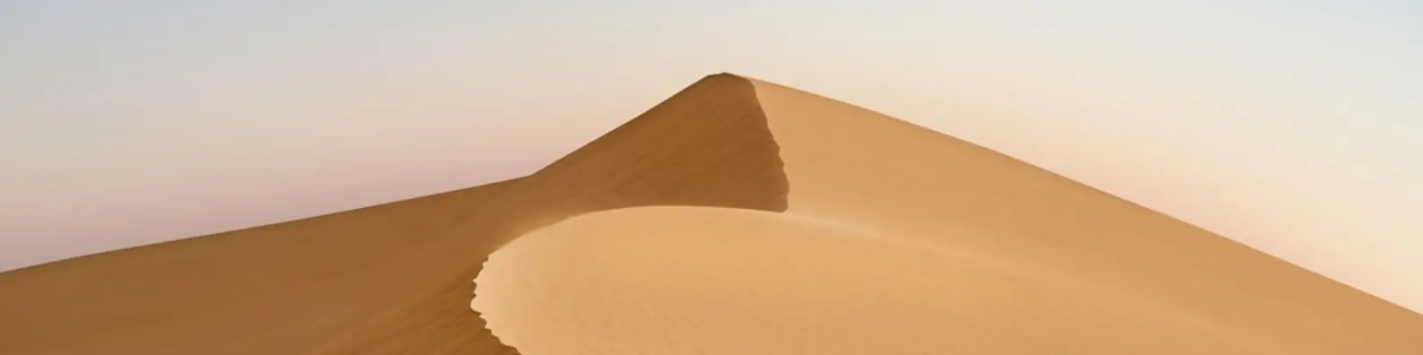 Endless Golden Sands Background