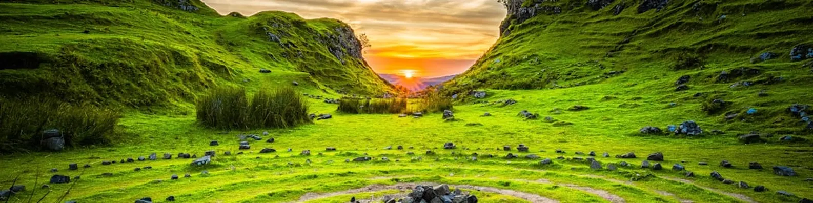 Golden Meadow Dusk Background