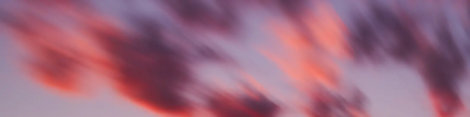 High Sky Raptor Soar Background