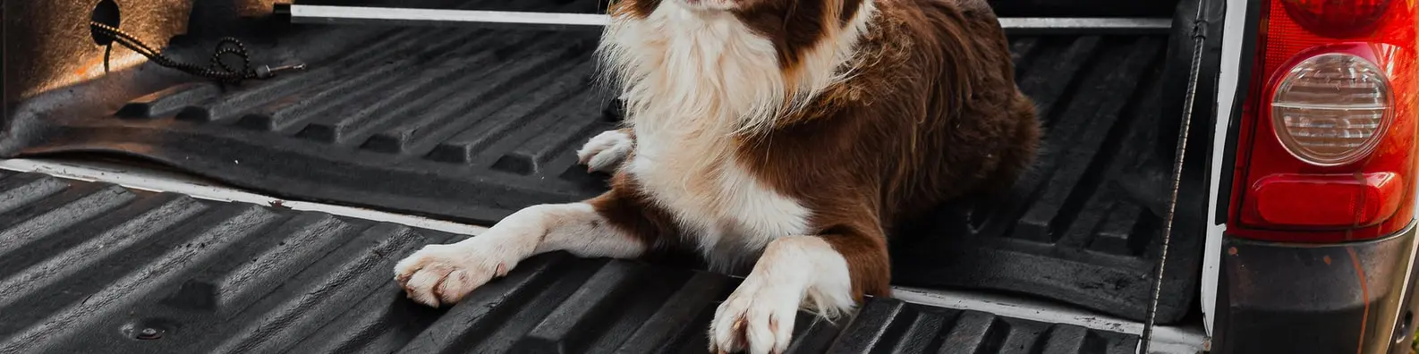 Journey Together Adventure Cover