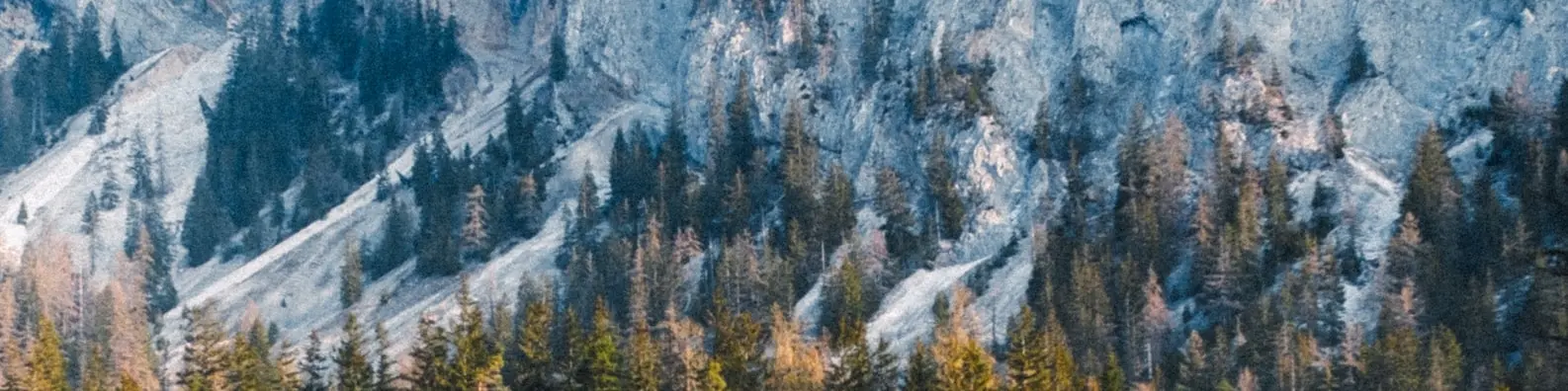 Quiet Country Path Cover