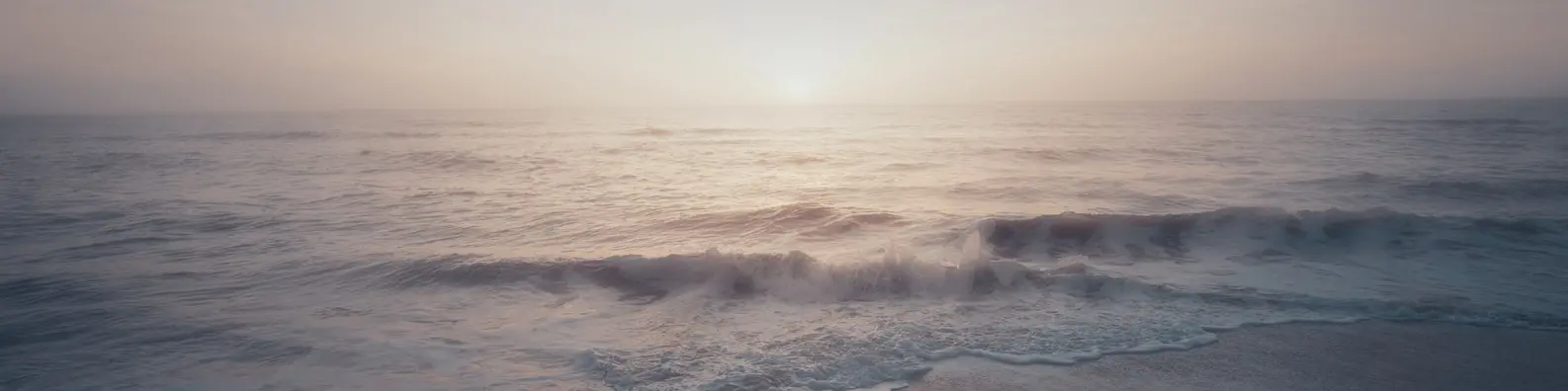 Sea Shore Background