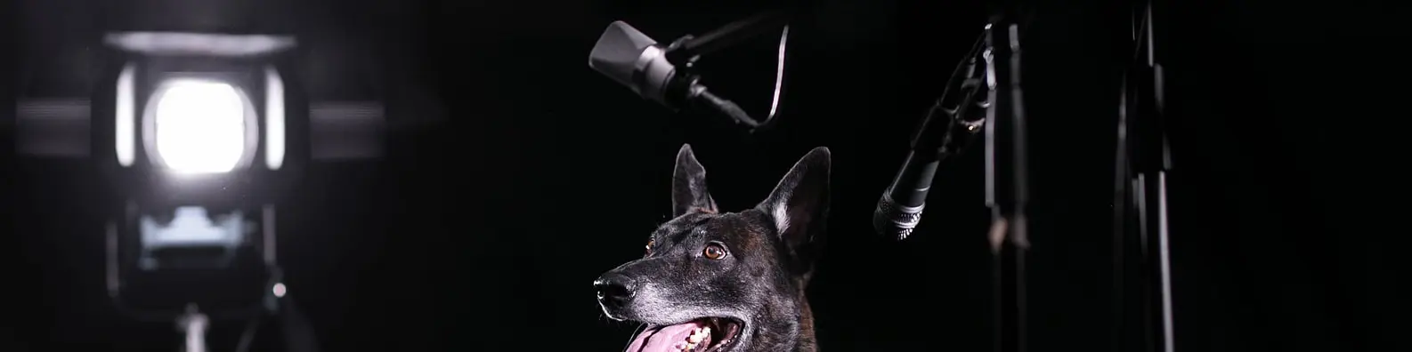 Super Star Background