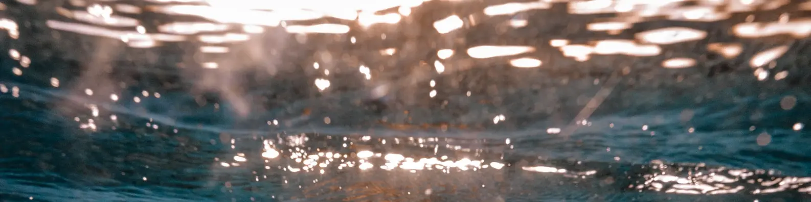 Suspended Moment In Nature Photo