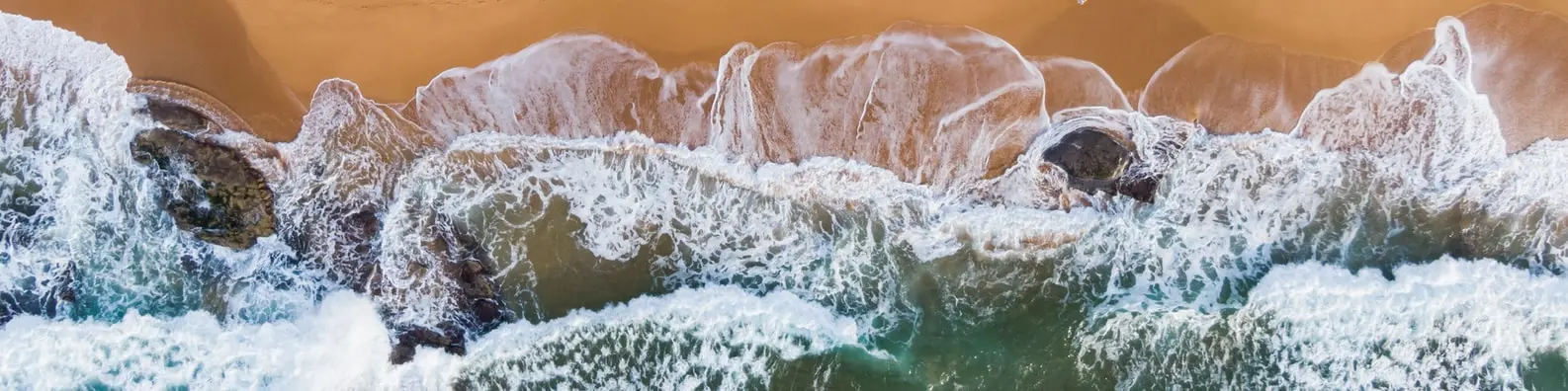 Tropical Getaway Background