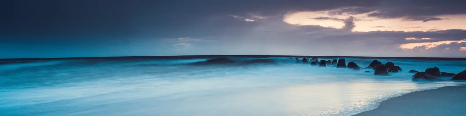 Tropical Sunlit Coastline Cover