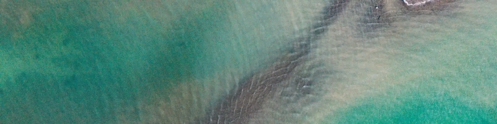 Untouched Aquatic Vista Background