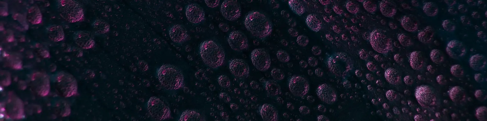 Vivid Magenta Circles