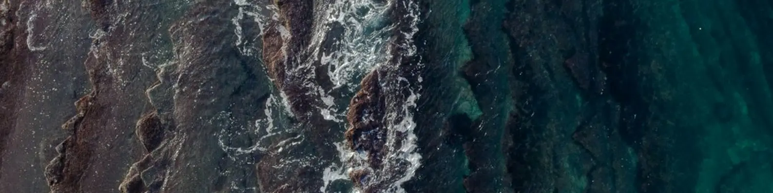 aerial ocean shoreline banner