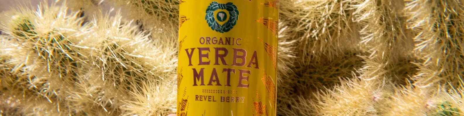 Organic Yerba Mate Berry Can